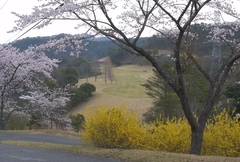 広島西カントリー倶楽部 4 of 4